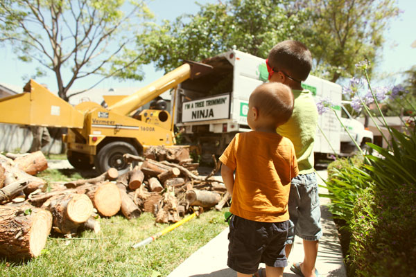 El Cajon Tree Removal