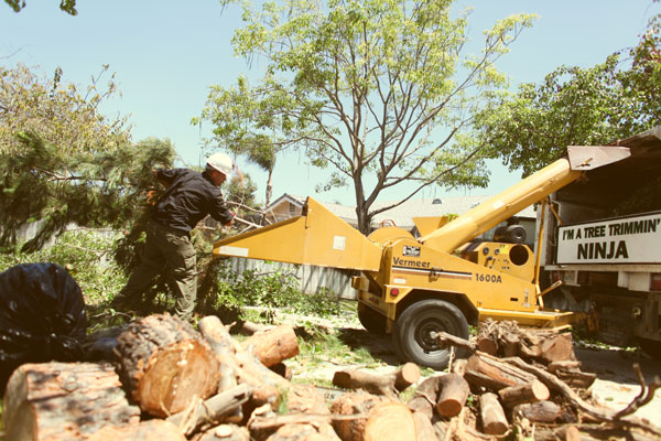 El Cajon Tree Removal