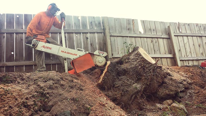San Diego Stump Grinding | San Diego Tree Service | Tree Trimming | Tree Removal san diego stump grinding