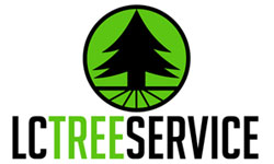 Tree Trimmers San Diego