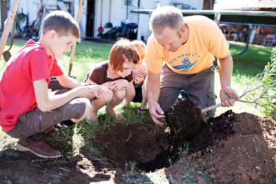 Farm-garden-tree-gardening-orchard-farmer-farming-shovel-planting-earth-day_t20_yw6d4p | San Diego Tree Service | Tree Trimming | Tree Removal