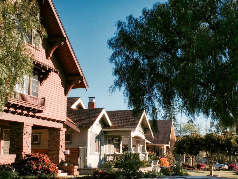 San Diego Tree Trimming Company