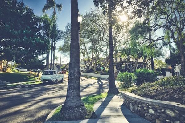 Tree Service Franklin Ga