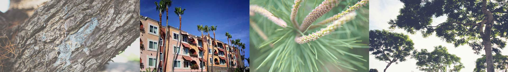 Plant Health Care San Diego
