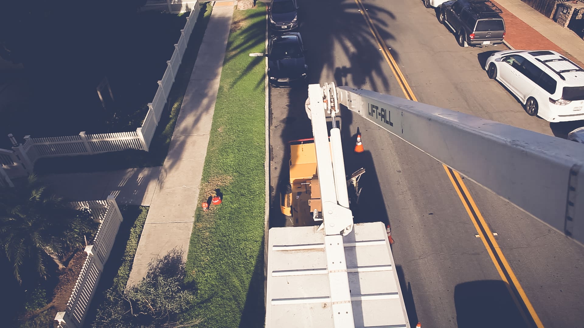 San Diego Tree Trimmers