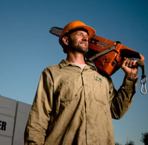 San Diego Tree Service Company