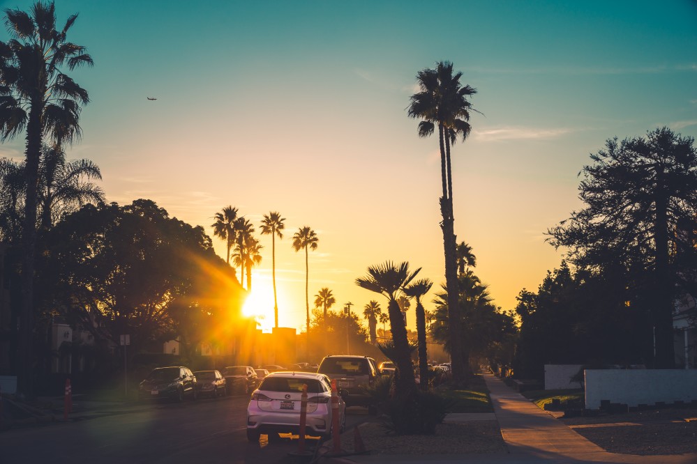 San Diego trees