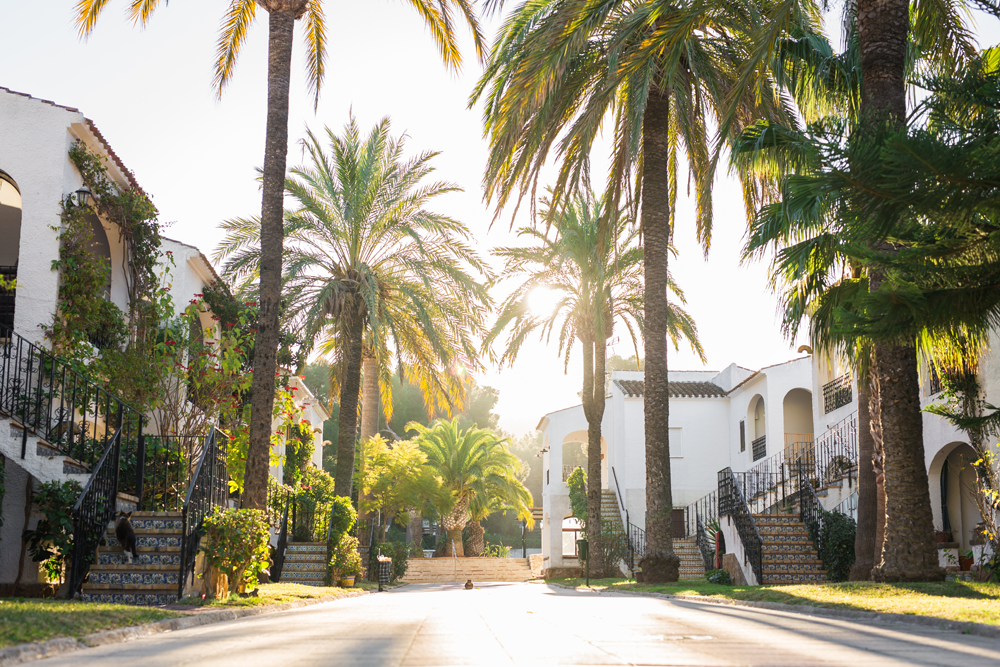 San Diego Tree Service