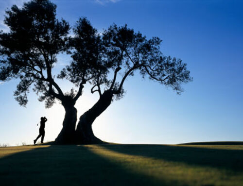 EMBRACING THE TORREY PINE: SAN DIEGO’S TREASURE