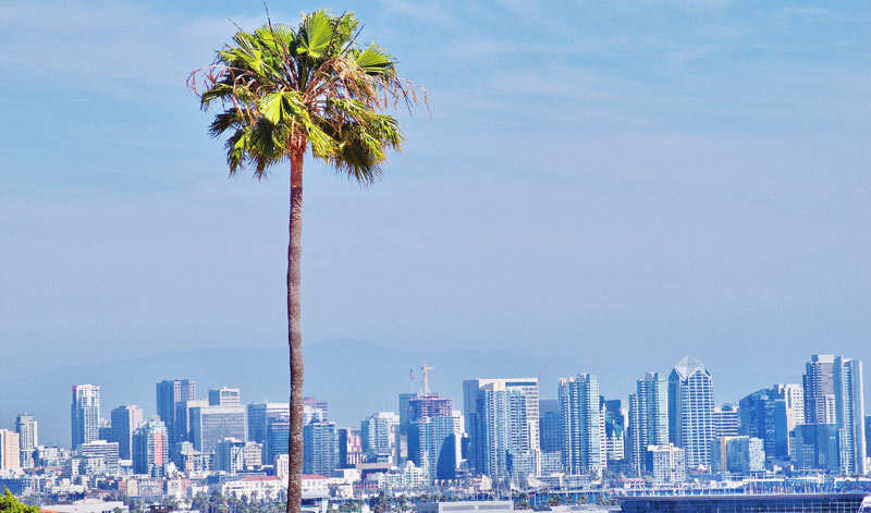 San-diego-california-city-skyline-with-palm-tree-2025-03-09-00-50-22-utc San Diego tree service
