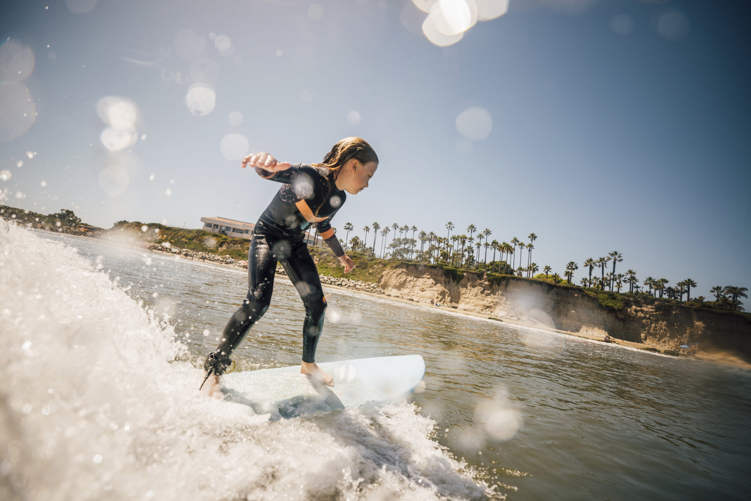 San Diego Palm Trimming san diego palm trimming