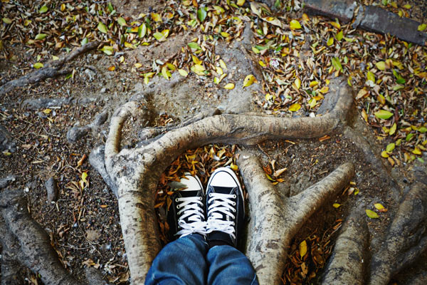 Get-back-to-your-roots-2025-04-06-10-54-42-utc san diego tree service