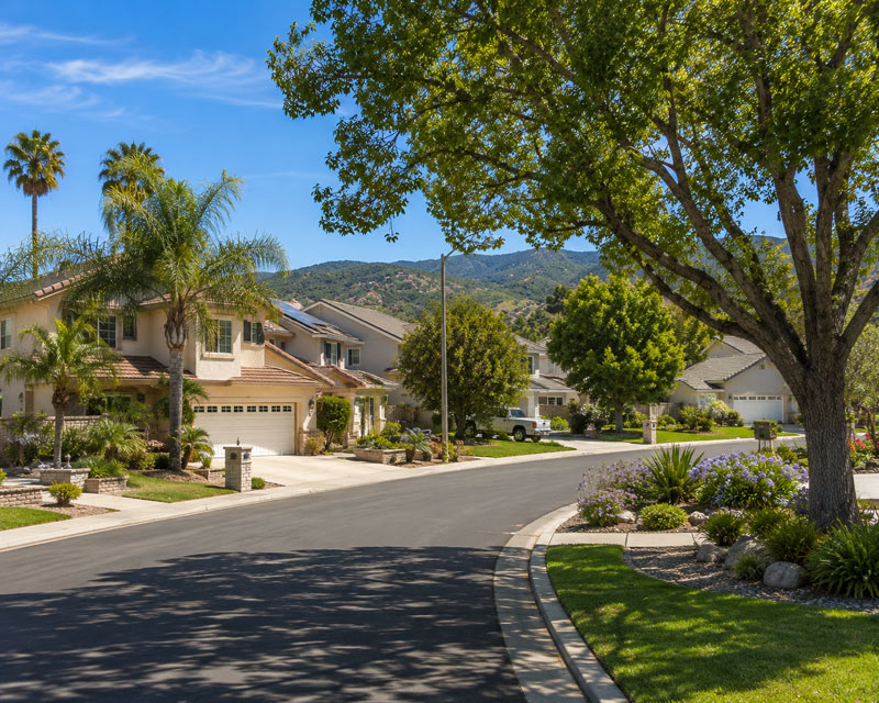 Poway Tree Service | San Diego Tree Service | Tree Trimming | Tree Removal Poway tree service