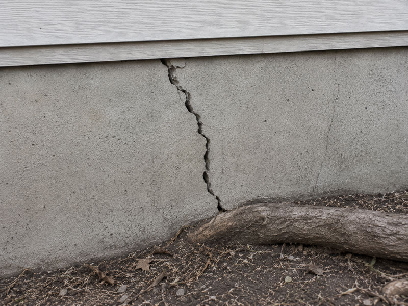 San Diego Tree Service – Root Damage | San Diego Tree Service | Tree Trimming | Tree Removal San Diego tree service - root damage