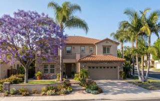 San Diego Tree Service | Tree Trimmers
