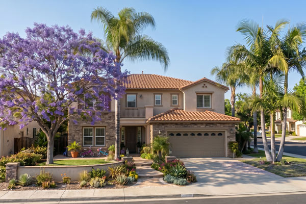 San Diego Tree Service | Tree Trimmers