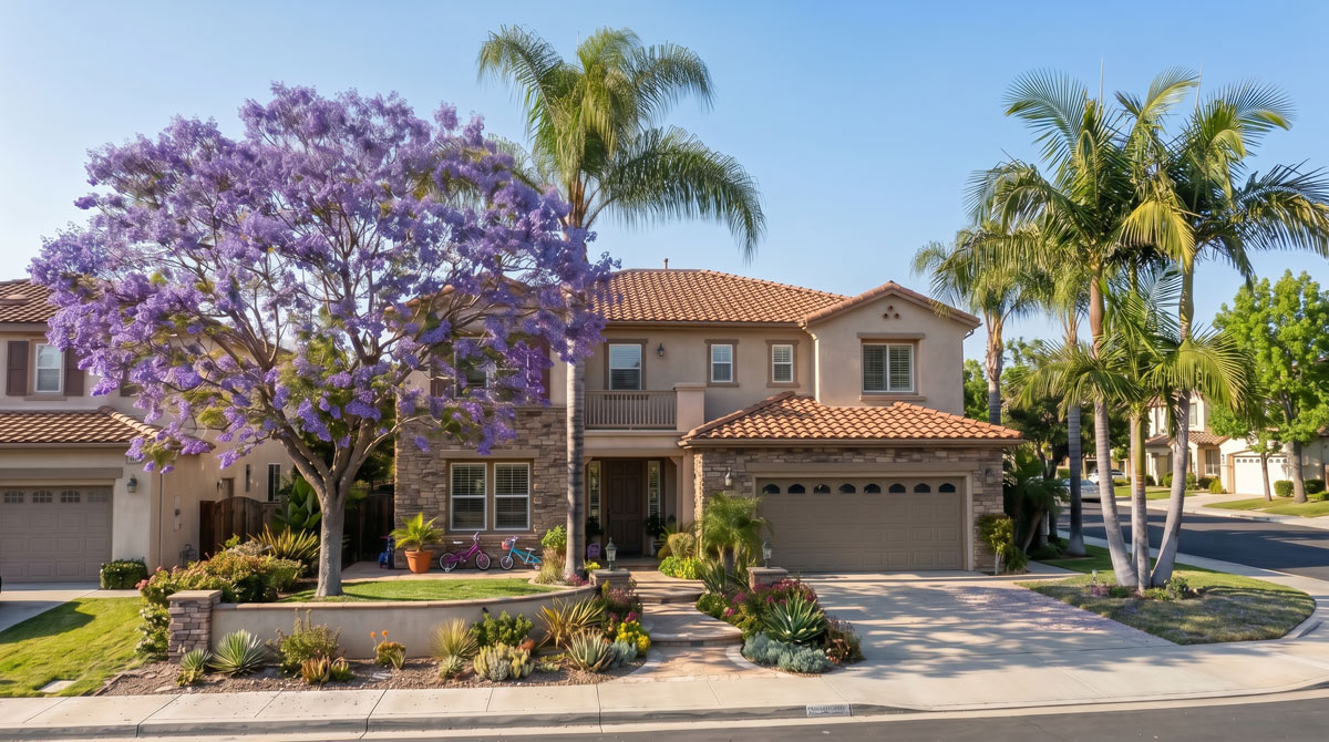 San Diego Tree Service | Tree Trimmers